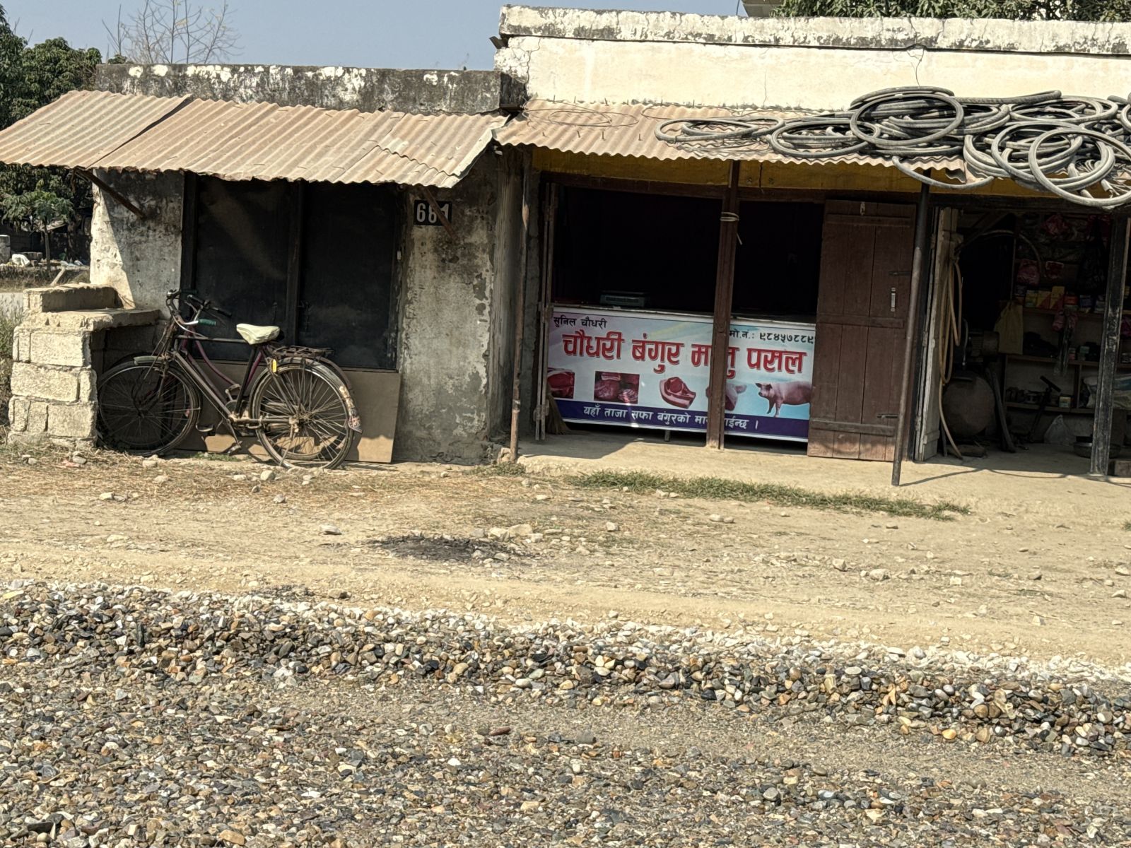 Chaudhary Bungur Masu Pasal